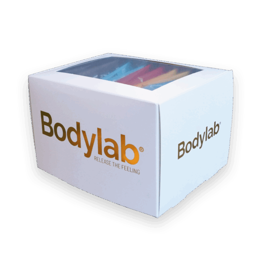 Bodylab Whey 100 (12 x 30 g)