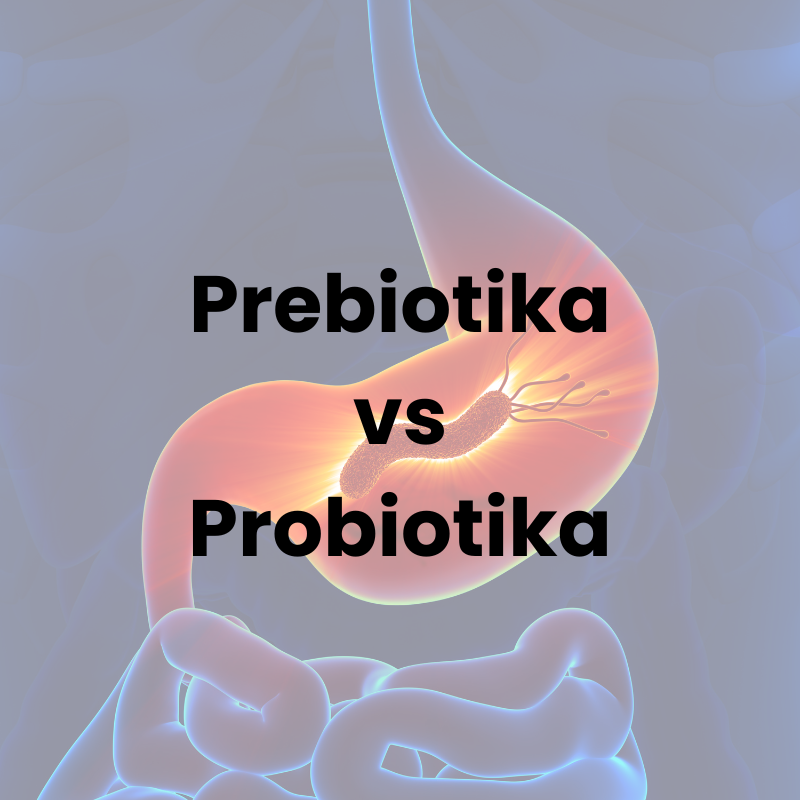 Prebiotika vs probiotika