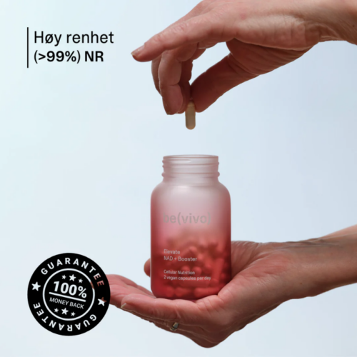Øk NAD+ nivåene dine med Elevate for sunn aldring, mer celle-energi og sterkere DNA