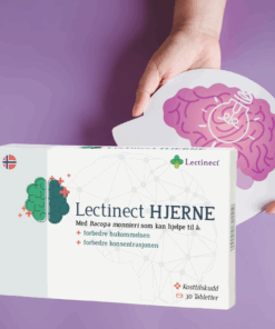 Lectinect Hjerne – bedre hjernehelse